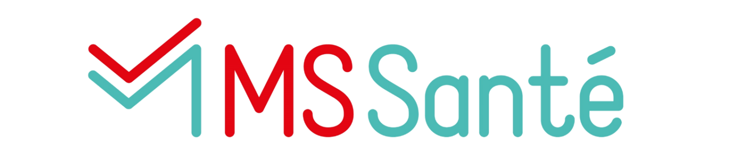 logo-MSsnte-1536x656.png